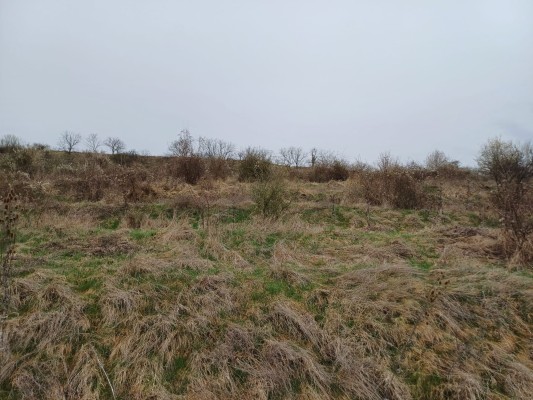 Teren 2175 mp in Reghin, Str. Viilor, nr. FN, jud. Mureș